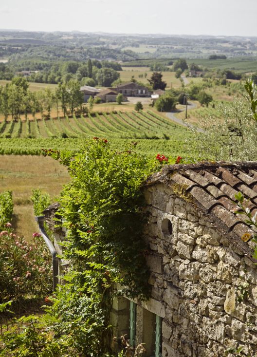 Vignoble bergeracois 